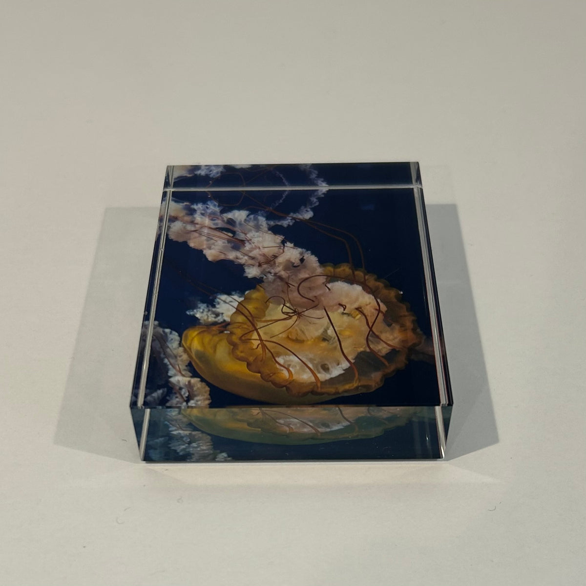 'Jellyfish' Glass Block