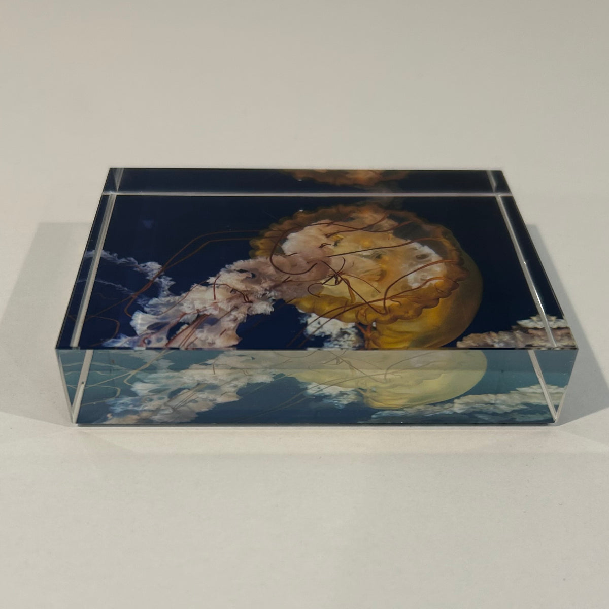 'Jellyfish' Glass Block