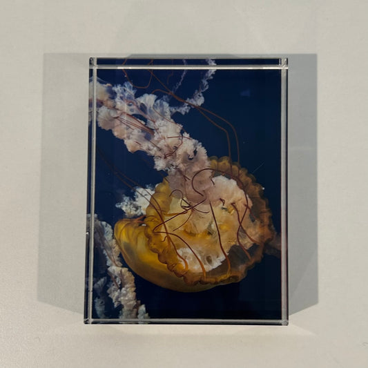 'Jellyfish' Glass Block